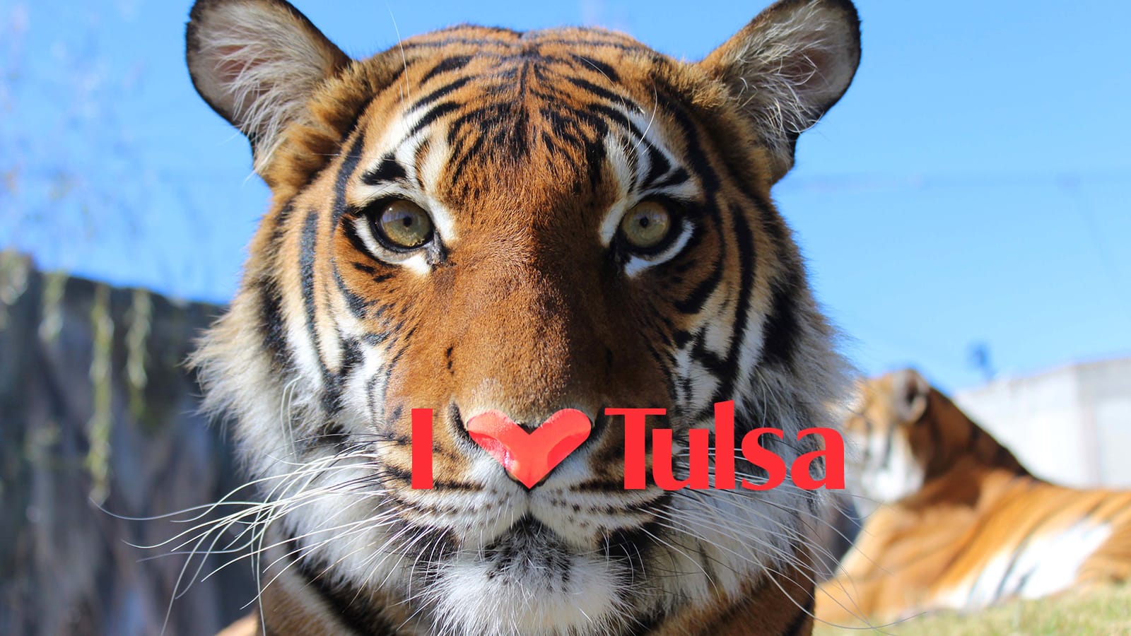 Thank You For Improving Our Tulsa | Tulsa Zoo