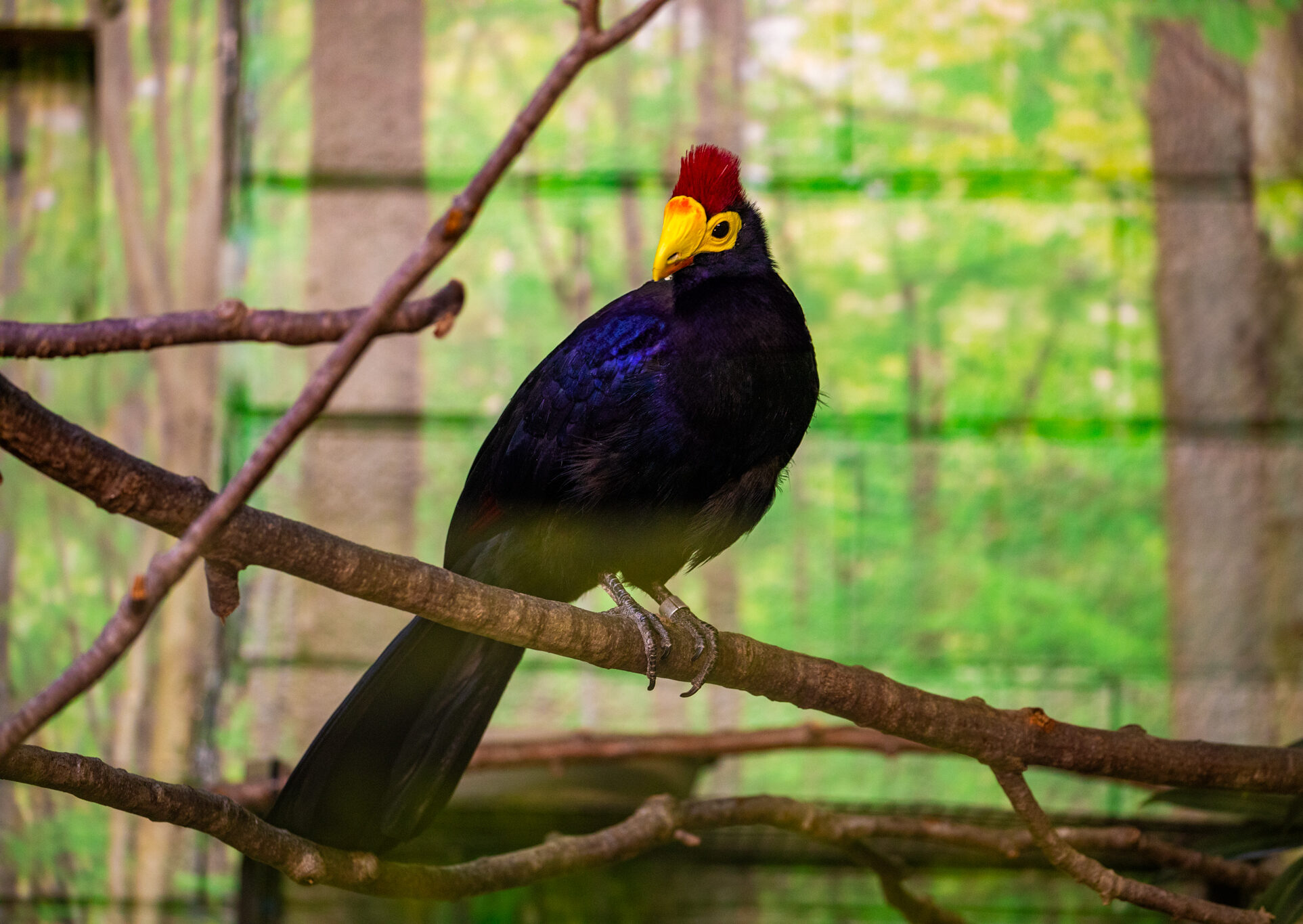 Conservation Center