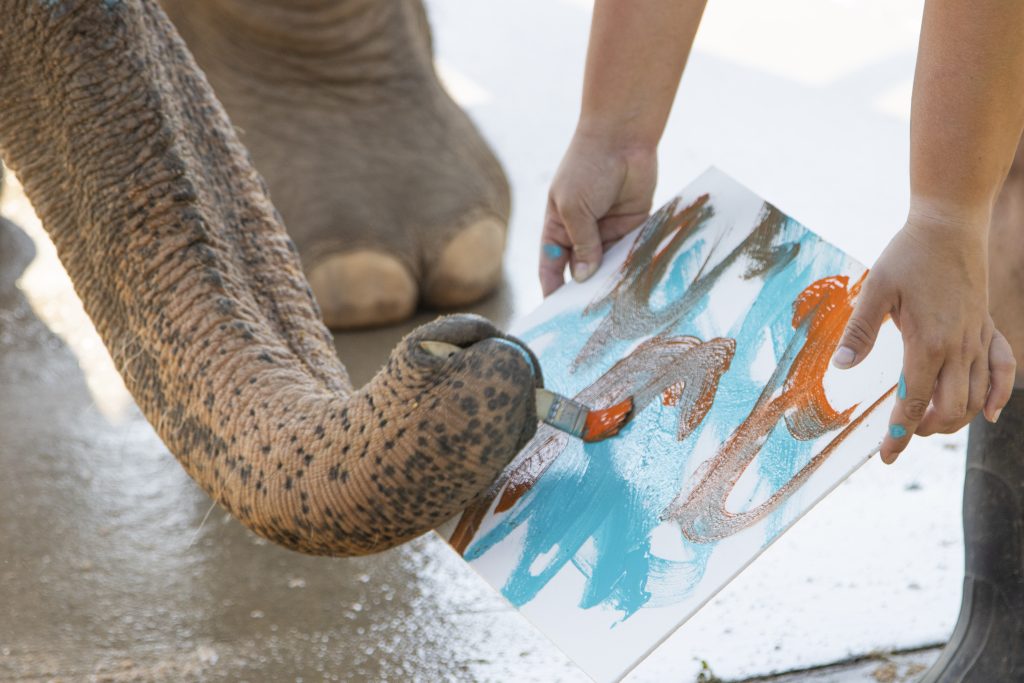 an elephant painting